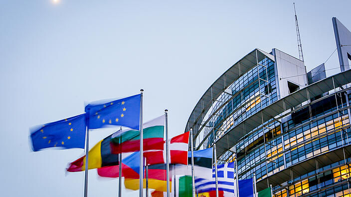 Flags in front of the European Parliament in Strasbourg.