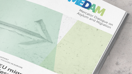 Brochure of MEDAM Assessment Report