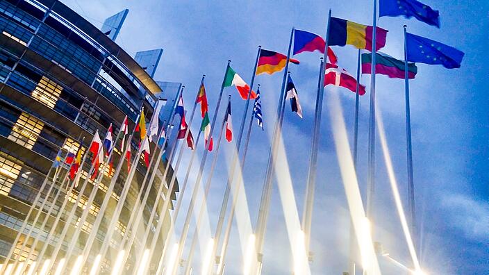 Colorful flags of European countires in front of an official EU building.