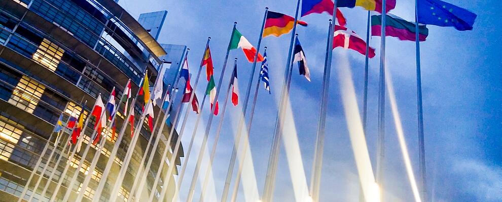 Colorful flags of European countires in front of an official EU building.