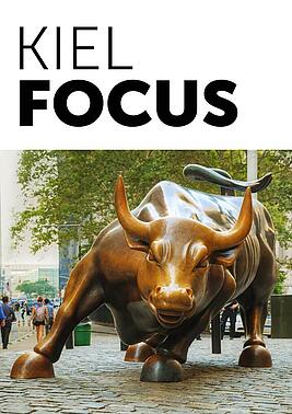Cover Kiel Focus stock market bull