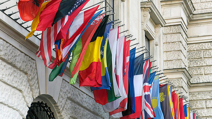 The flags of Organization for Security and Co-operation in Europe countries near headquarters of OSCE in Vienna, Austria