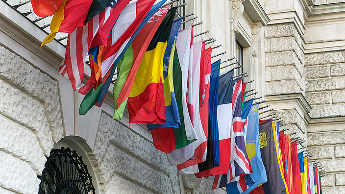 The flags of Organization for Security and Co-operation in Europe countries near headquarters of OSCE in Vienna, Austria
