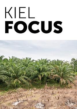 Kiel Focus Cover palm oil