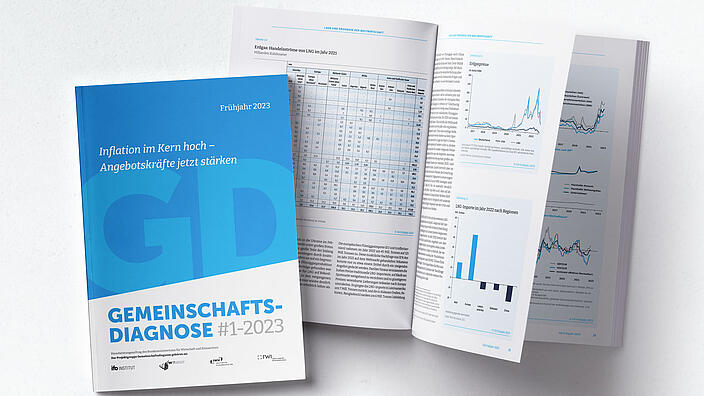 Cover image joint economic forecast