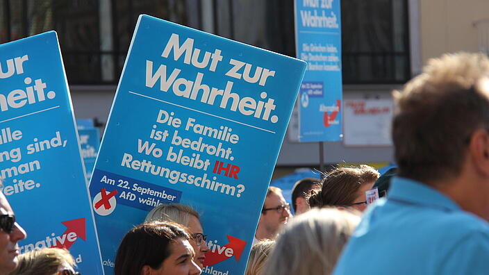 AfD Plakate