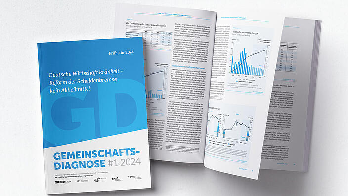Visual Joint Economic Forecast