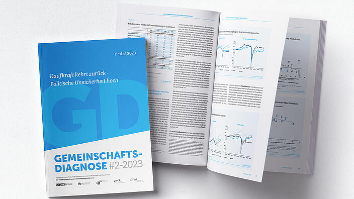 Cover Joint economic forecast