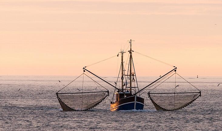 Fishing boat out at sea