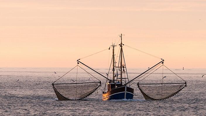 Fishing boat out at sea