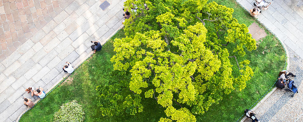 Aerial shot of an urban park